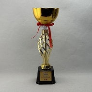 Chinese-Boccia-Sport-Association