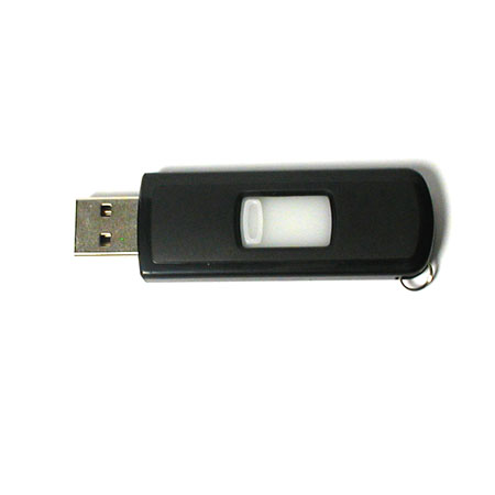 Customization USB Flash Drive Corporate Gifts