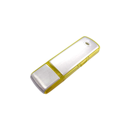 Customization Corporate USB Flash Memory Corporate Gifts