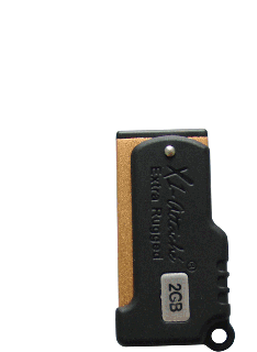 Customization USB Flash Memory Corporate Gifts