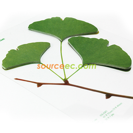 Leaf Sticky Memo