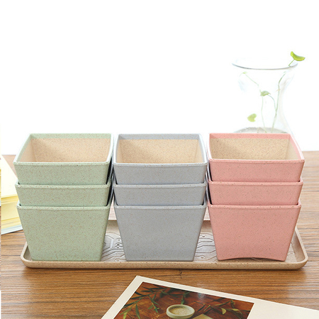 Wheat Straw Cup Set