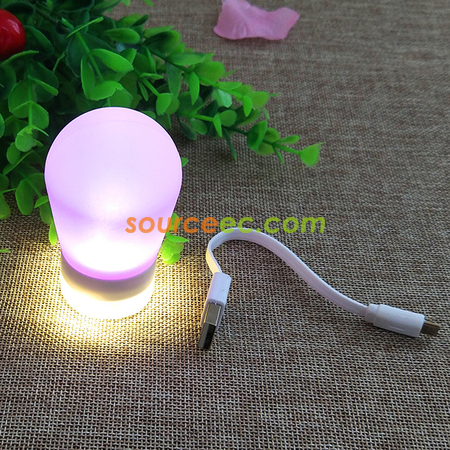 Portable Magnetic Lamp