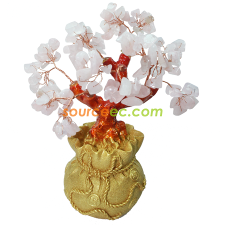 Customization Pachira Corporate Gifts