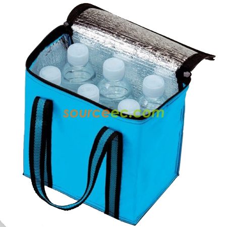 Stripe Cooler Bag