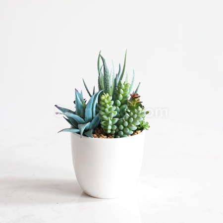 Customization Simulation green plants Corporate Gifts