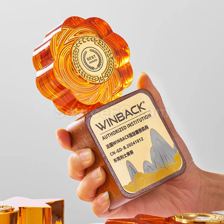 Customization Solid Wood Crystal Trophy Corporate Gifts