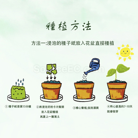 Customization Seed Paper Tote Bag Corporate Gifts