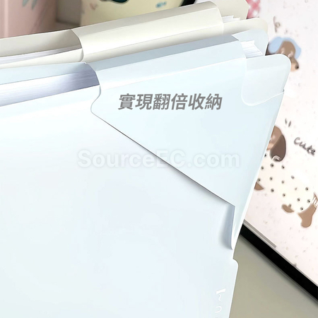 Customization A4 Divider File Folder Corporate Gifts