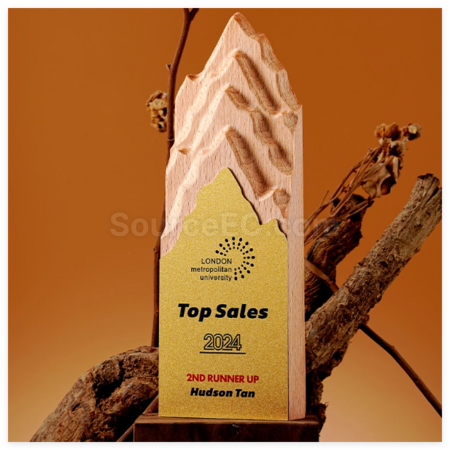 Customization Creative Metal and Solid Wood Trophy Corporate Gifts