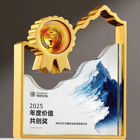 Customization Crystal Trophy Corporate Gifts
