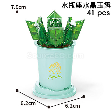 Customization Coffee Cup Plant Series Building Blocks-12 Constellations Succulent Series Corporate Gifts