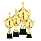 Metal trophy