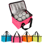 Cooler and Warmer Bag