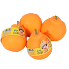 CustomizationDecompression ToysCorporate Gifts