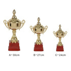 Trophy Cup