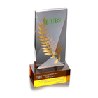 Crystal Trophies