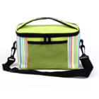 Portable cooler bag