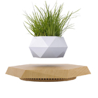 Magnetic Levitation Bonsai (Without Plants)
