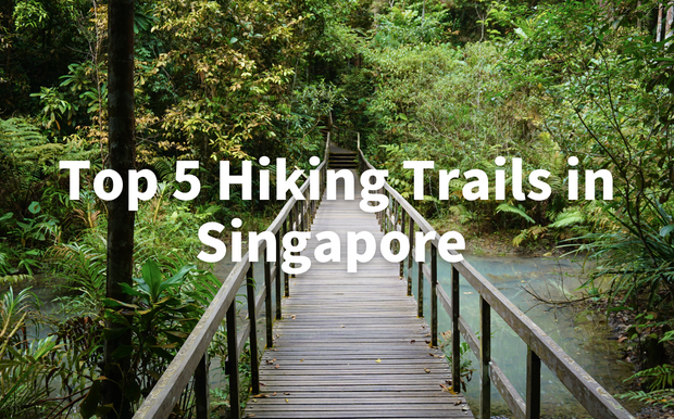 Top 5 Hiking Trails in Singapore