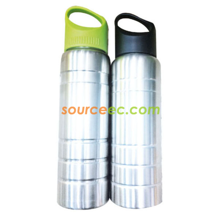 750ML Stainless Steel Bottle