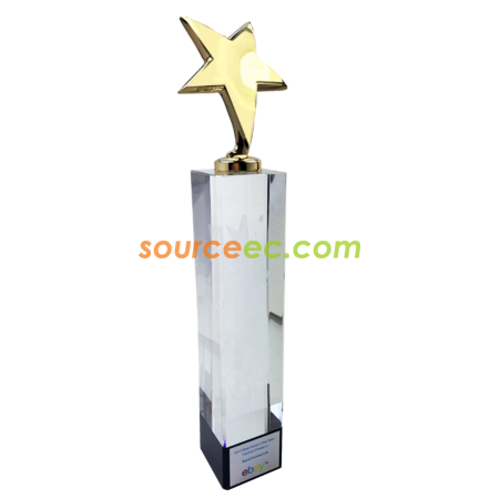 Custom Star Trophy