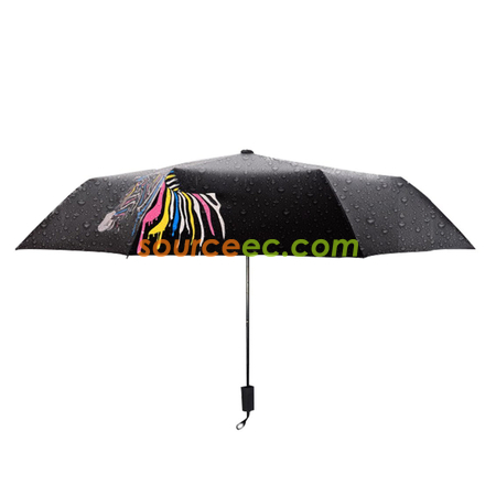 Color Changing Umbrella