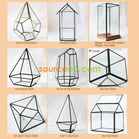 Customization Geometric Glass Terrariums Corporate Gifts