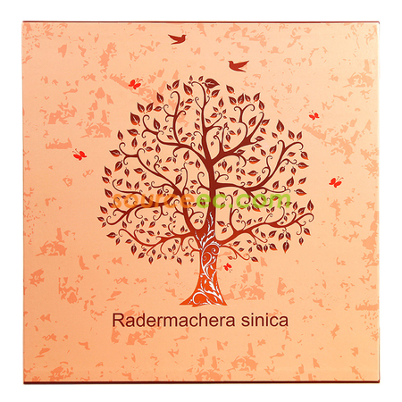Customization Photo Album Corporate Gifts