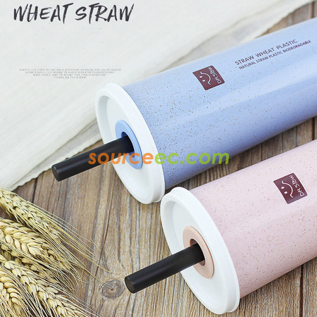Customization 450ML Wheat Straw Double Cover Tape Sucker Leakage Cup Corporate Gifts