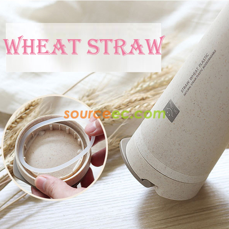 Customization 450ML Wheat Straw Double Insulated Cup Corporate Gifts