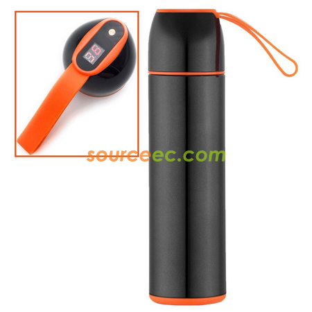 Insulated Vacuum Water Bottle with Smart Temperature Indicator