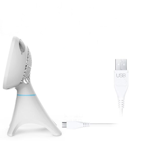 Customization Spray fan Corporate Gifts