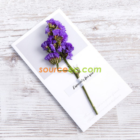 Customization Dried Flower Greeting Card Corporate Gifts