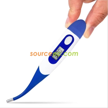 Electronic Thermometer