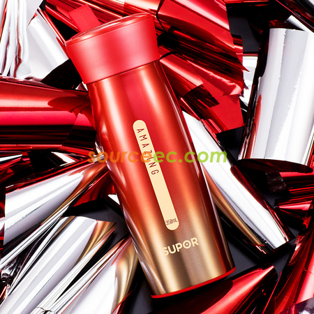 Customization Aurora Thermos Cup Corporate Gifts