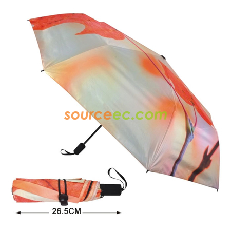 Folding Umbrella