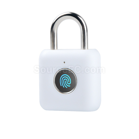 Customization Fingerprint Padlock Corporate Gifts