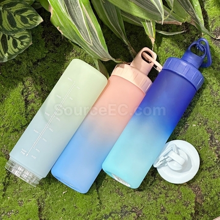 Customization Sports Inspirational Water Bottle 600ml Corporate Gifts