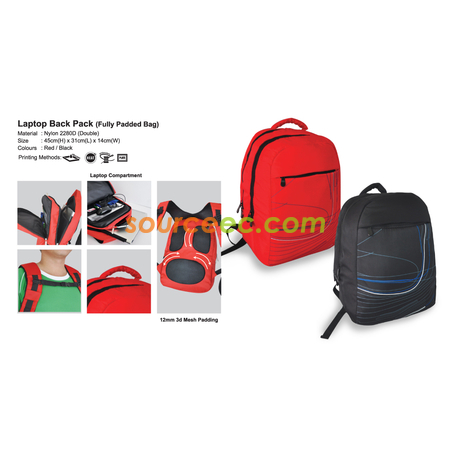 Laptop Back Pack(Fully Padded Bag)