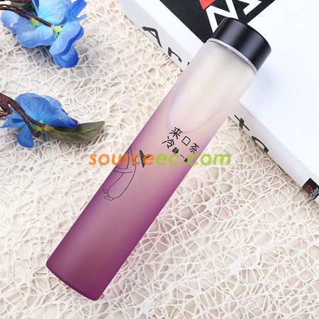 Customization 400ML Double Glass Corporate Gifts