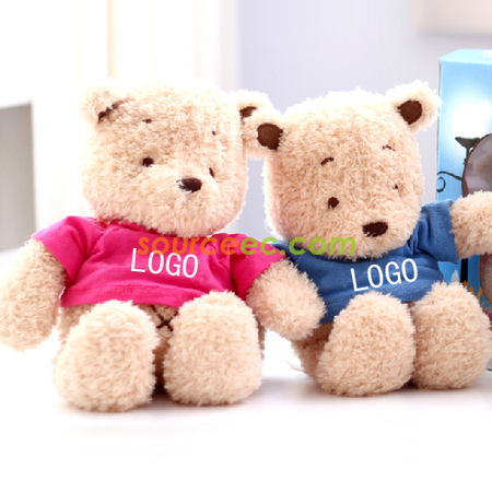 Custom LOGO Graduation Bear