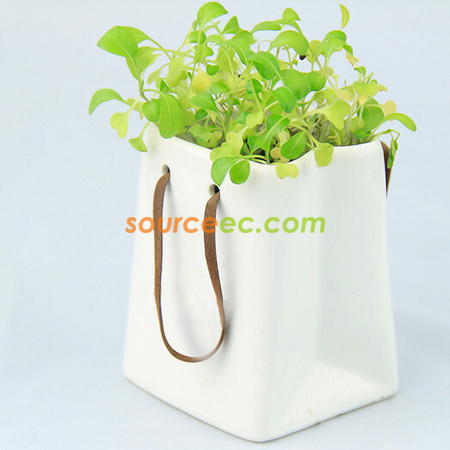 Customization Environmental Planted Gift Corporate Gifts