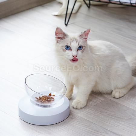 Customization Cat Bowl Corporate Gifts