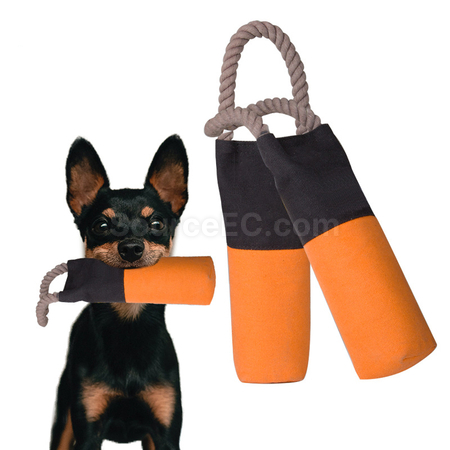 Dog Throws Toy