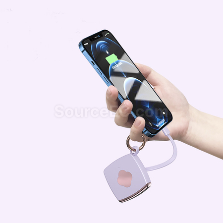Customization Mini Power Bank Corporate Gifts