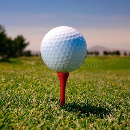 Customization Golf Tee Corporate Gifts