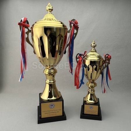 Customization Trophy Cup Corporate Gifts