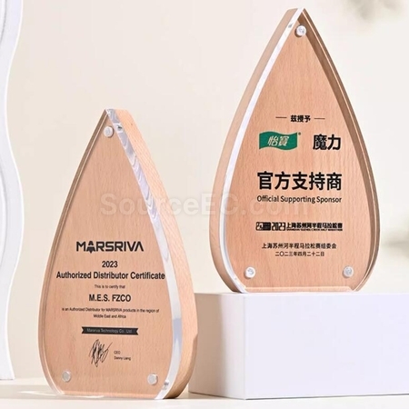 Creative Water Drop Solid Wood Acrylic  rophy
