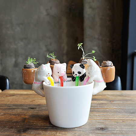 Customization Easter Mini Plants Corporate Gifts